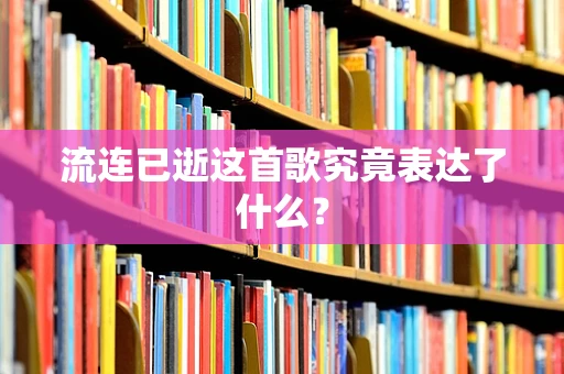 流连已逝这首歌究竟表达了什么？